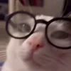 🤓