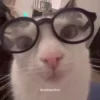 🤓