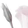🌸