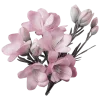 🌸
