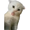 😛