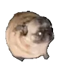 🕺