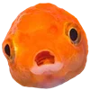 😨