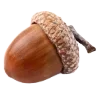 🌰
