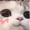 😺