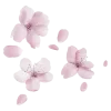 🌸