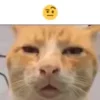 🤨