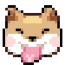 🐶