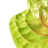 ☘️