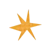 🌟
