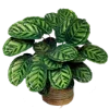 🍀