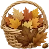 🍂