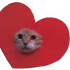 ❤️