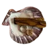 🐚