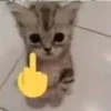 🖕