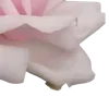 🌸