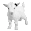 🐐