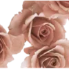 🌸