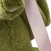 🐰