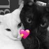 💋