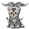 😼