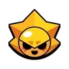 🌟