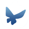 🔵