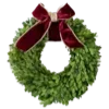 🌲