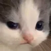 🤨