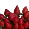 🍒