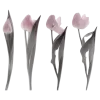 🌸