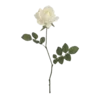 🍀