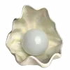 🐚