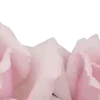 🌸