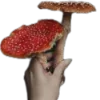 🌚