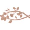 ⬜️