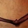 😝