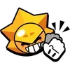 🌟