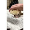 ☺️
