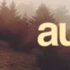 🍂