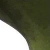 🍃