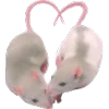 🐁