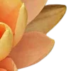 🧡