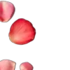 🍒