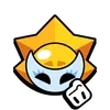 🌟