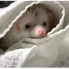 ☺️