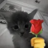 🌹