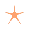 ✨