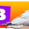 👌