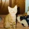 😁